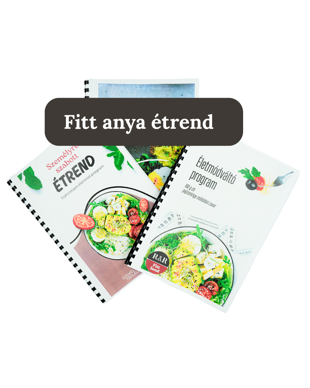Fitt anya